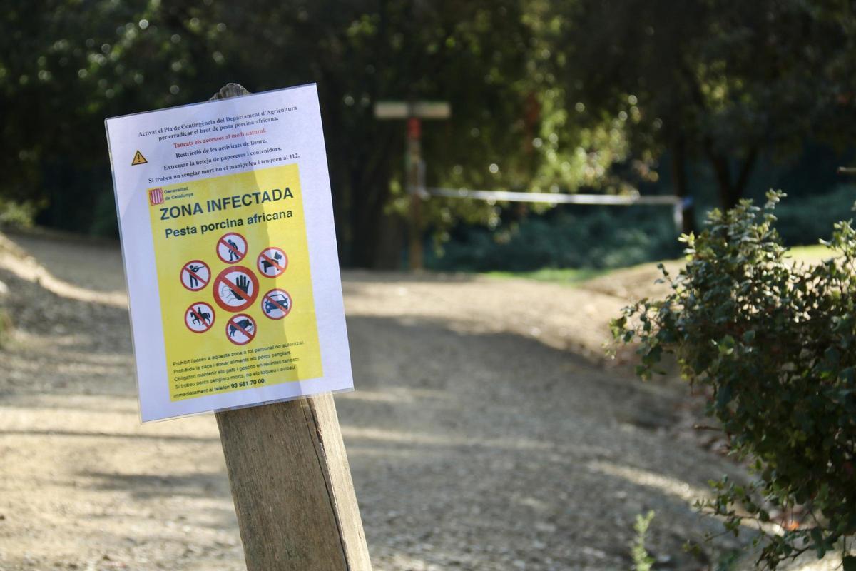 Un cartell informant d'una zona infectada per la pesta porcina a Cerdanyola del Vallès.