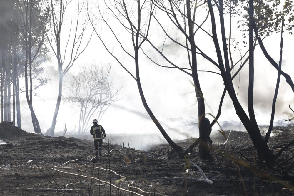 Sofocado un incendio que ha afectado a 100m2 en Puente Tocinos