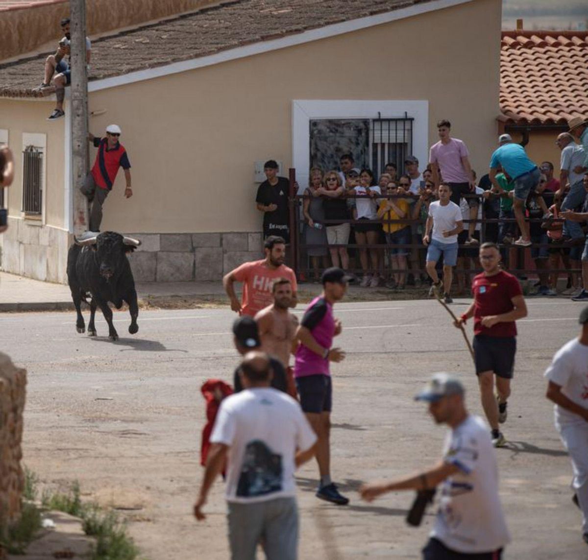 Villalpando vibra entre toros y caballos