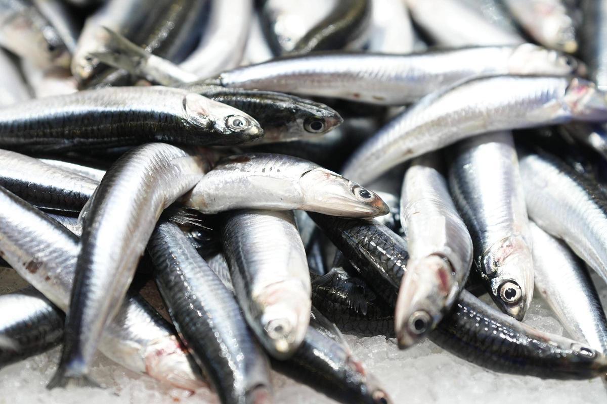 El pescado azul es el que más grasa saludable contiene.