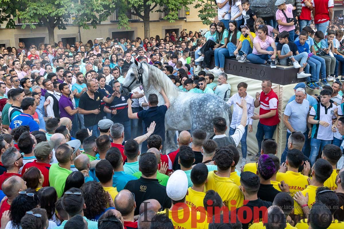 Entrega de premios del concurso morfológico de los Caballos del Vino de Caravaca