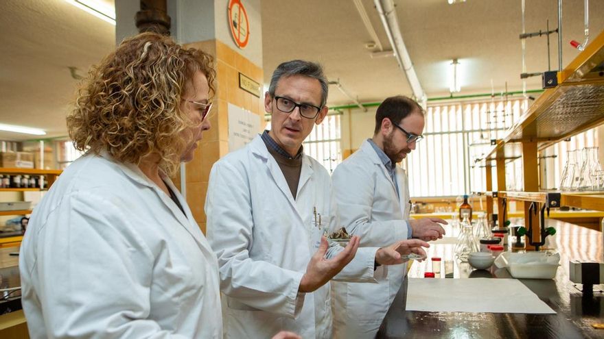 Posidonia marina para recuperar el sabor del tomate, un proyecto pionero de la Universidad de Alicante