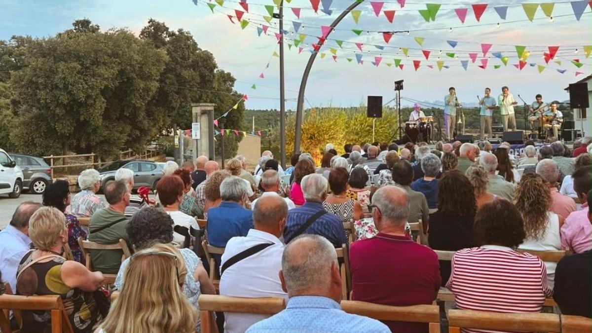 Assistents en un dels concerts musicals de la Festa Major