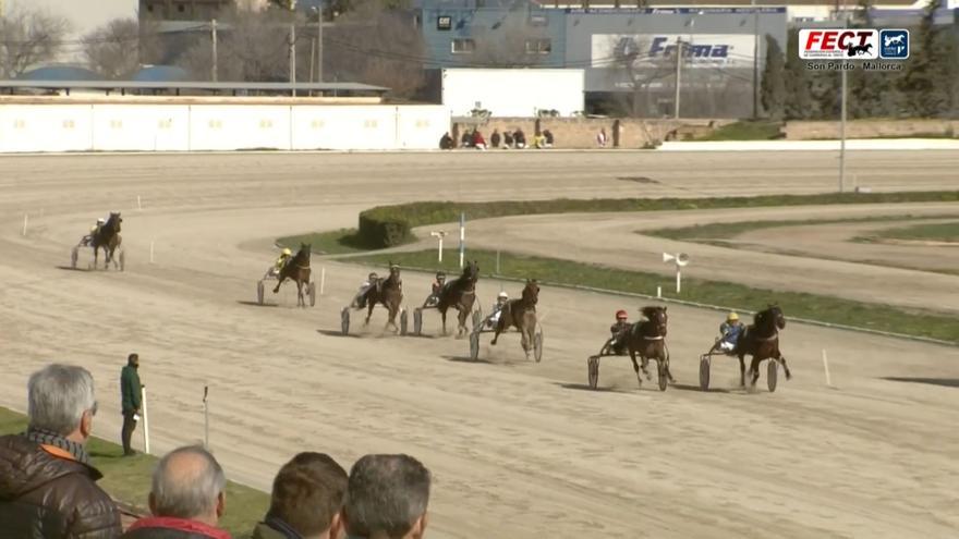 Indio vuelve a coronarse como el actual rey de la velocidad en Son Pardo