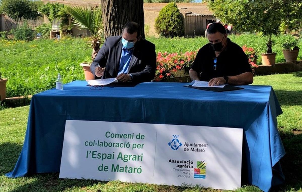 Acord per a l’impuls i millora de l’espai agrari de les Cinc Sénies de Mataró Acord per a l’impuls i millora de l’espai agrari de les Cinc Sénies de Mataró