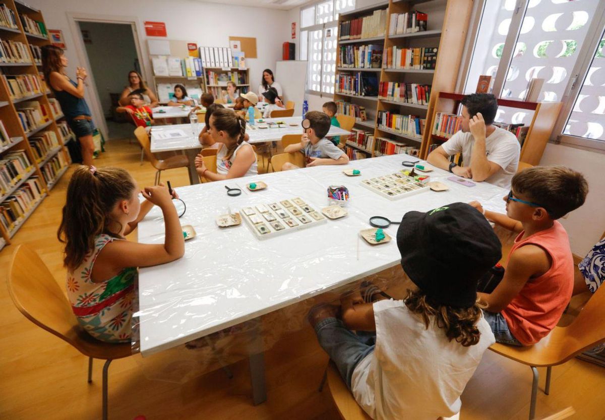 Taller de «bichos» para los más pequeños
