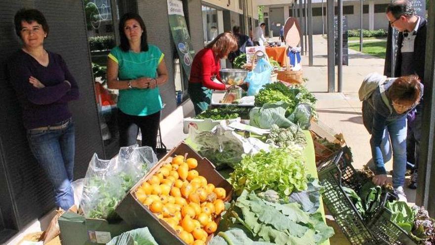 Participantes en la jornada dedicada a la alimentación ecológica.