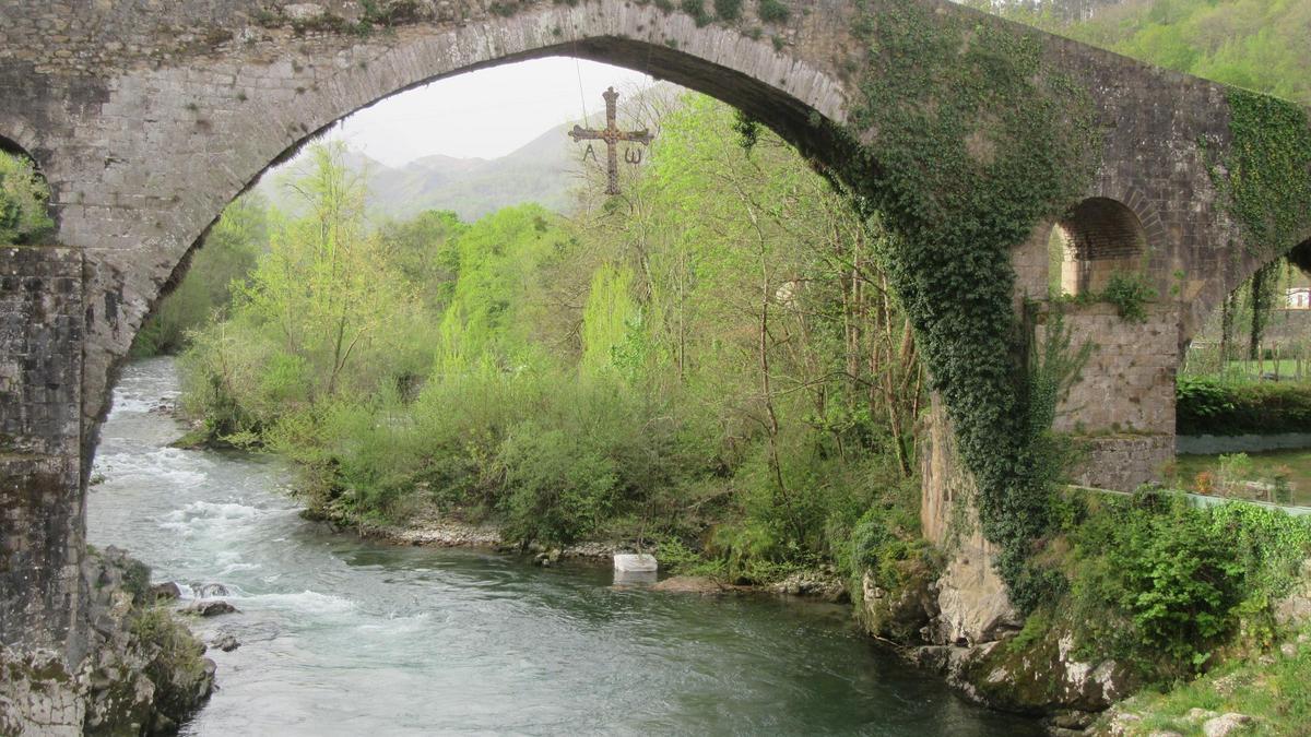 El bulto de plástico aparecido esta mañana en un remanso del Sella junto al puente de Cangas de Onís