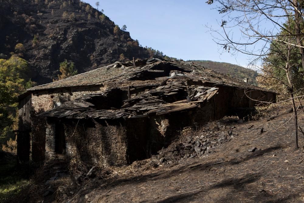 Allande y Grandas de Salime: recorrido por los territorios quemados en los últimos incendios