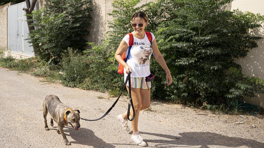 Centro de sa Coma en Ibiza: «Todos los perros pueden ser adoptados, pero requieren de compromiso»