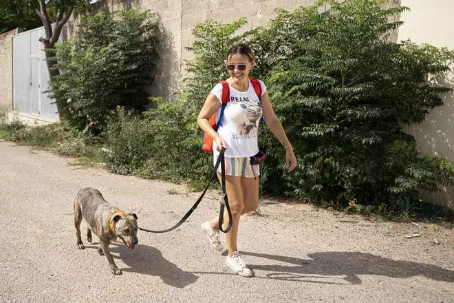 Centro de sa Coma en Ibiza: «Todos los perros pueden ser adoptados, pero requieren de compromiso»