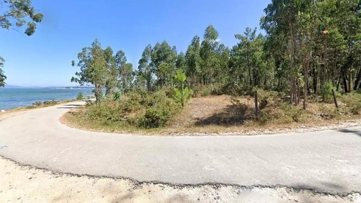 Vista de la zona donde se creará el viñedo.
