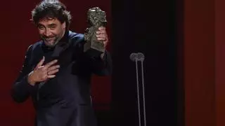 ¿Cuántos premios hay en los Goya?