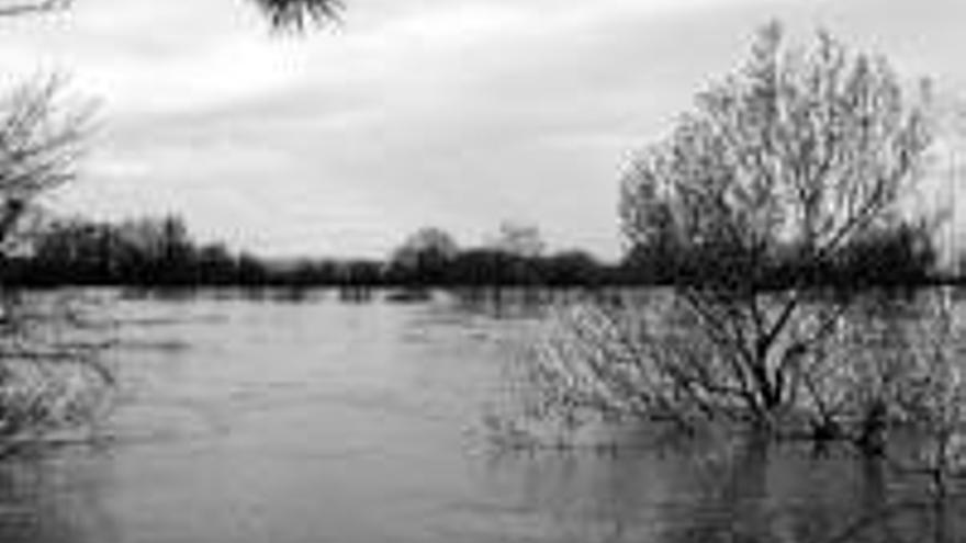 La riada del Ebro deja un regero de desperfectos