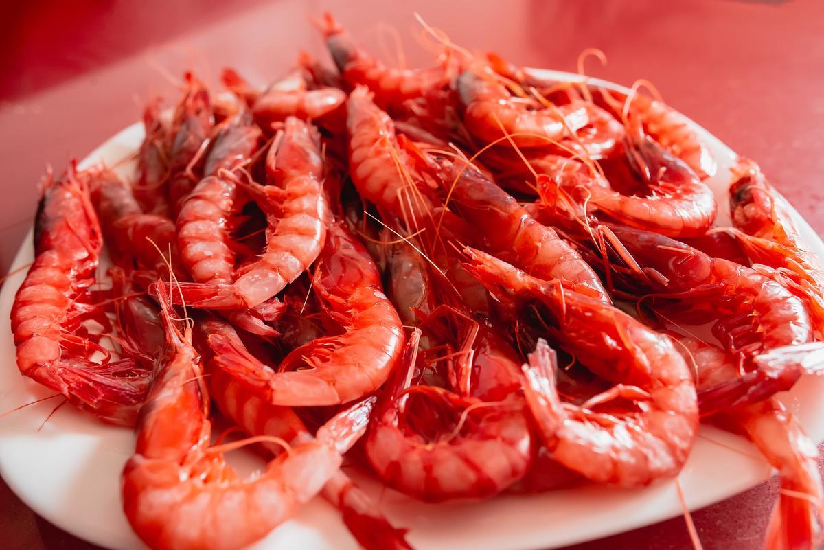 Gamba roja de Dénia