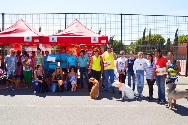 II Feria de Cuidados Básicos para Mascotas