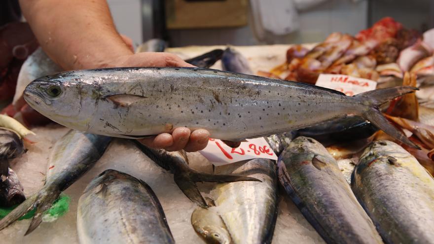 Frischer Fisch, Zement und Ananas: Bei diesen Produkten gibt es auf Mallorca derzeit Lieferprobleme
