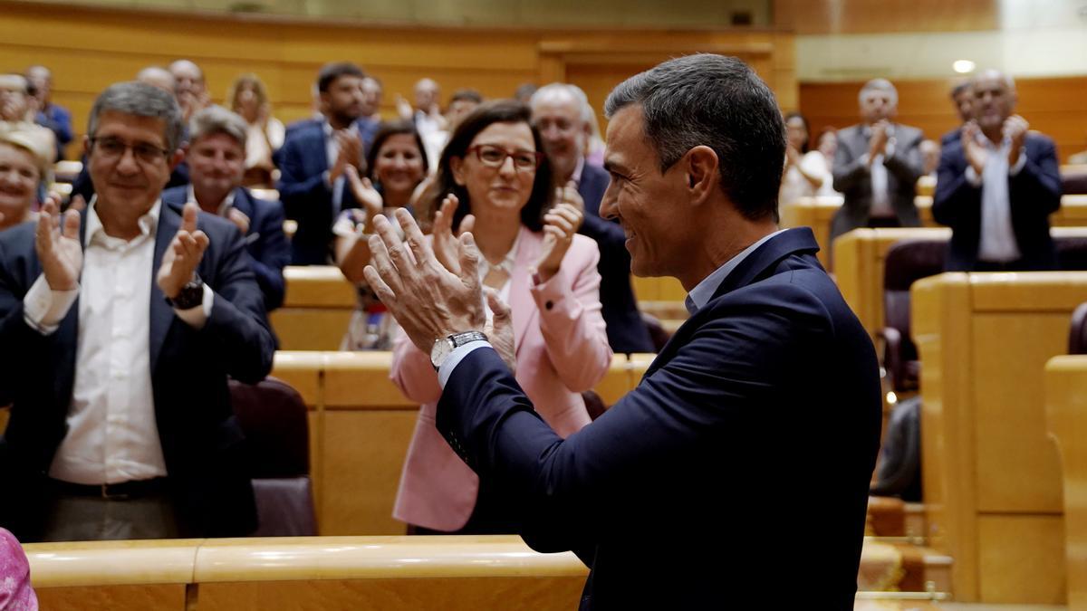 Pedro Sánchez Senado