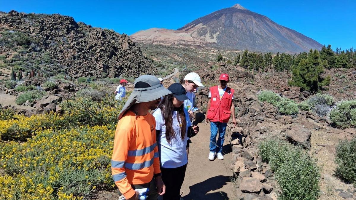 La Cruz Roja finaliza un proyecto de conservación ambiental en el Parque Nacional del Teide