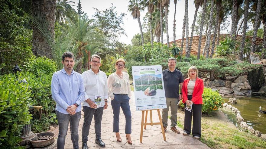 Albatera impulsa su producto estrella con el Corte de la Breva 2026 y sus Jornadas Gastronómicas