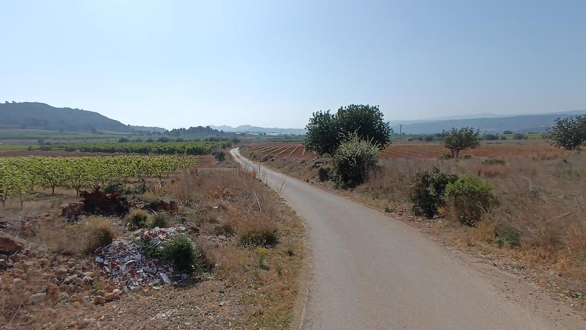 Terrenos en la partida Darreserra del término municipal de Turís donde se proyecta una de las centrales fotovoltaicas.