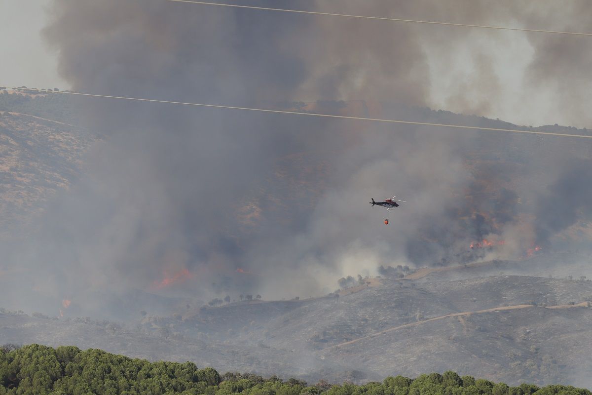 Incendio forestal en Cerro Muriano