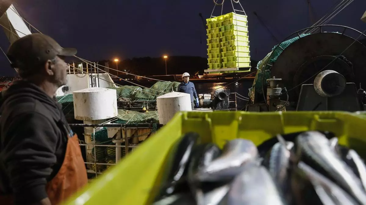 Quejas por descargas ilegales de xarda ante la falta de inspectores de pesca, que cumplen un mes en huelga en toda España