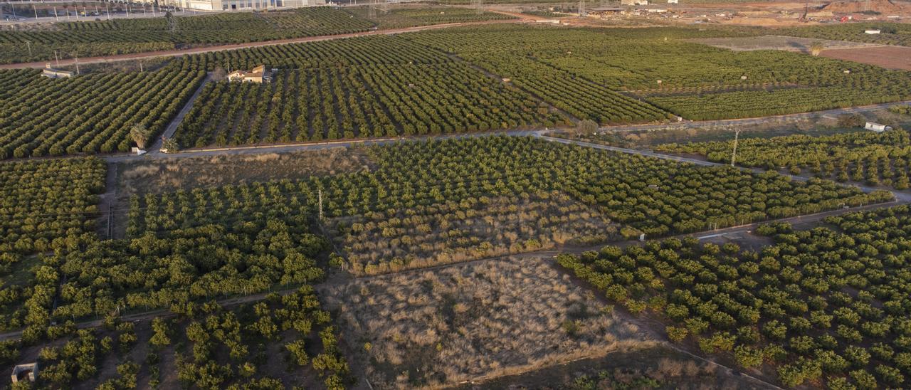 Terrenos para la gigafactoría de Volkswagen en Parc Sagunt.