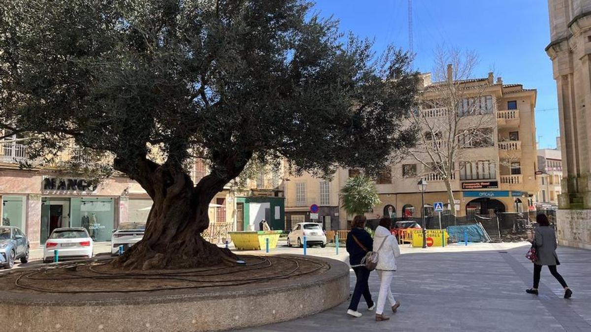 Rafael Nadal aprueba su escultura en Manacor con la condición que se le parezca