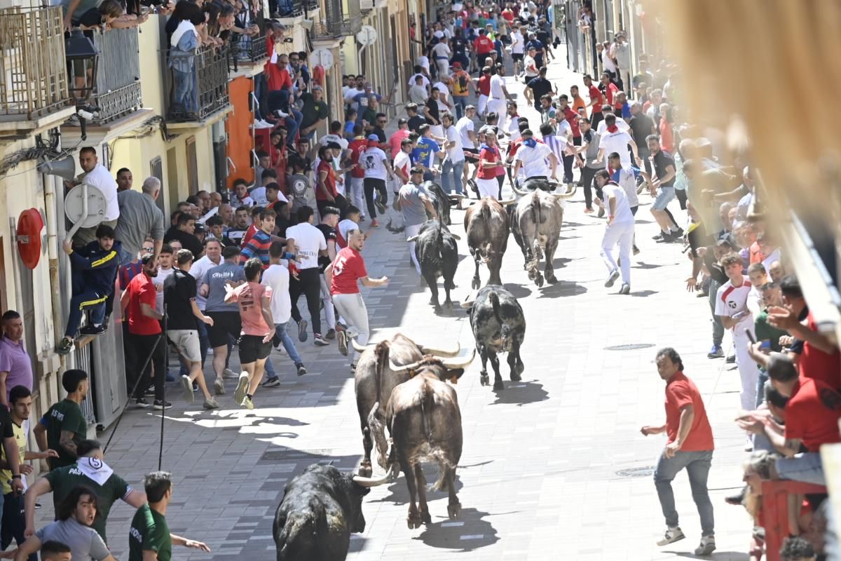 Galería | Almassora vibra con el encierro de cerriles de Gerardo Ortega