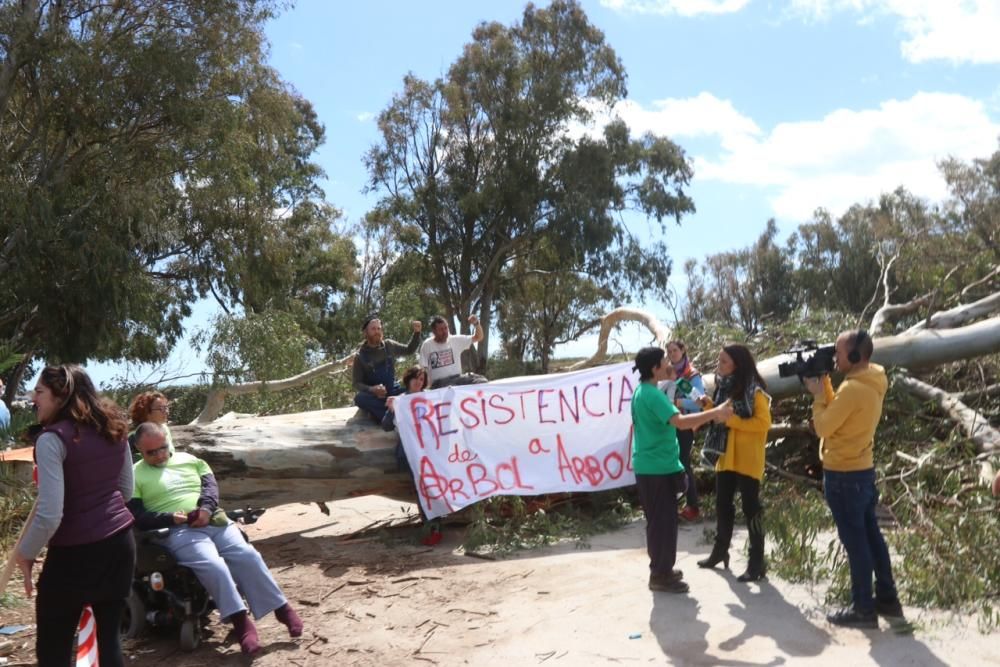 Protesta por la tala de árboles en Arraijanal