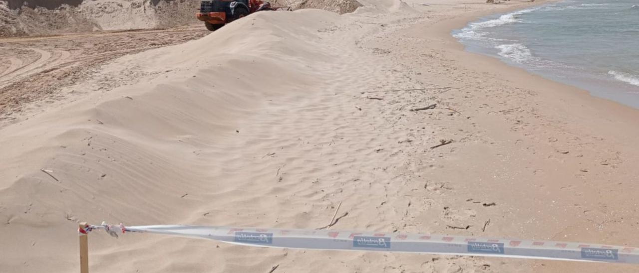 Maquinaria pesada retirando enormes cantidades de arena de la playa de l’Auir, en Gandia, en una imagen de este mismo lunes.                         | MIGUEL PÉREZ