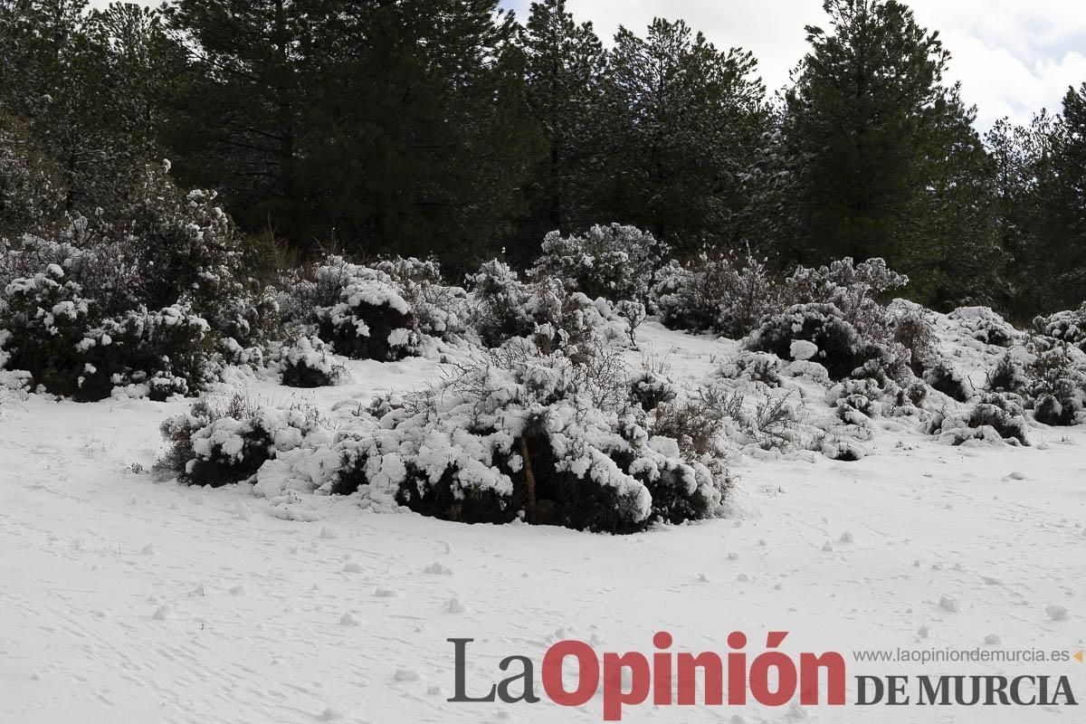 La borrasca Herminia tiñe de blanco la cima de la Región de Murcia