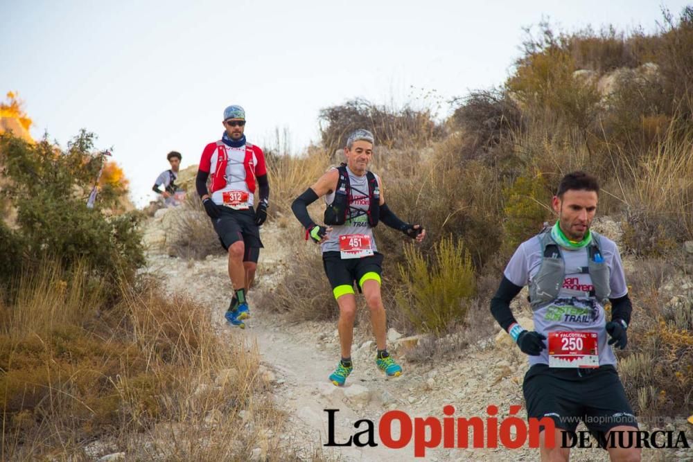 VII Falco Trail (Maratón)