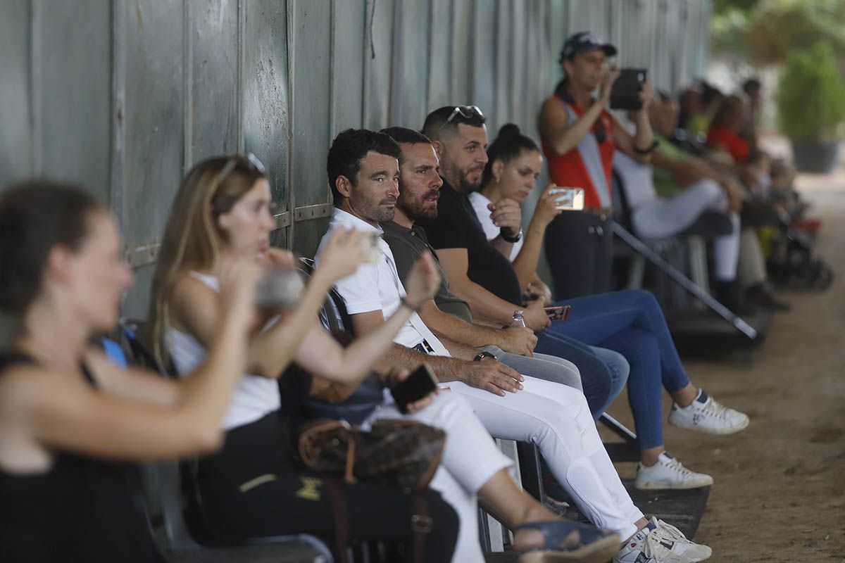 Concurso de Doma Clásica de Córdoba