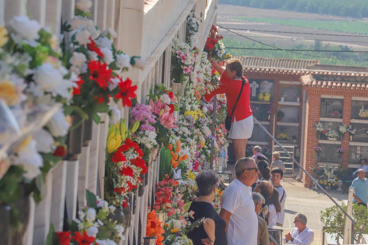 Miles de vecinos se han acercado al camposanto oriolano el día de Todos los Santos Miles de vecinos se han acercado al camposanto oriolano el día de Todos los Santos