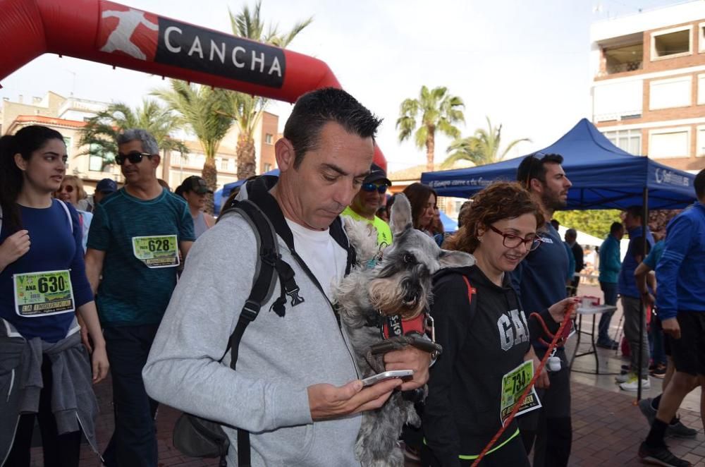 Carrera popular de Pliego