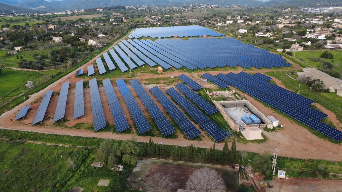 Vista general de la planta solar Son Ripollet.