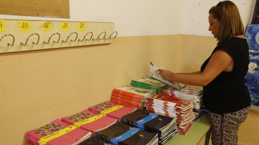 Los libros devueltos están organizados en los colegios públicos para su reparto