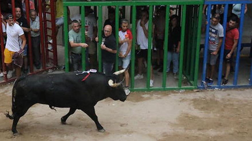 Uno de los toros exhibidos en las fiestas de Alcora.