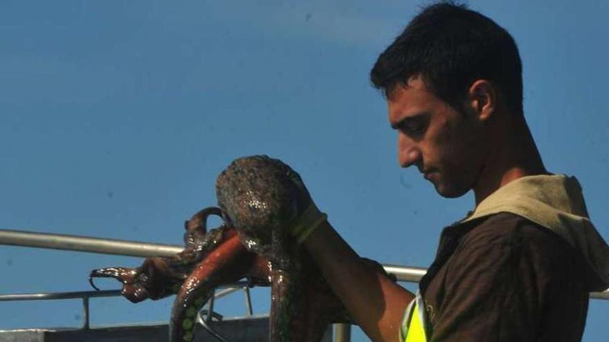 Pesca de pulpo en la ría de Arousa. // Iñaki Abella