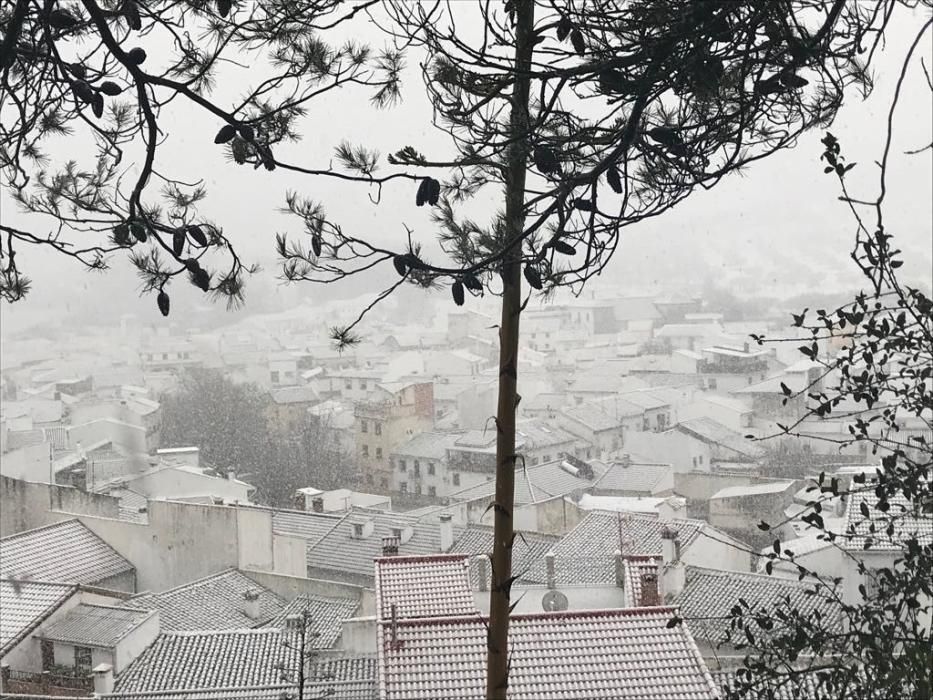 Nieve en Alfarnate.