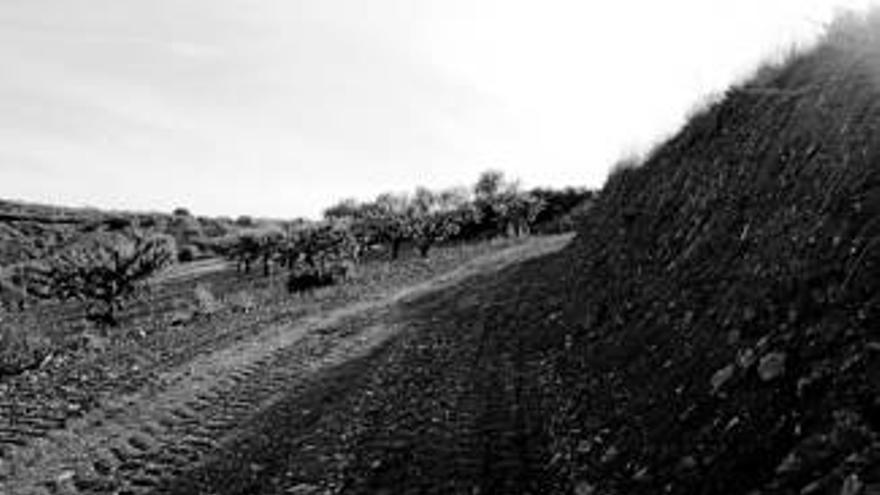 Los caminos rurales, finalmente, arreglados