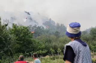Los incendios de los últimos días en España han arrasado ya 60.000 hectáreas