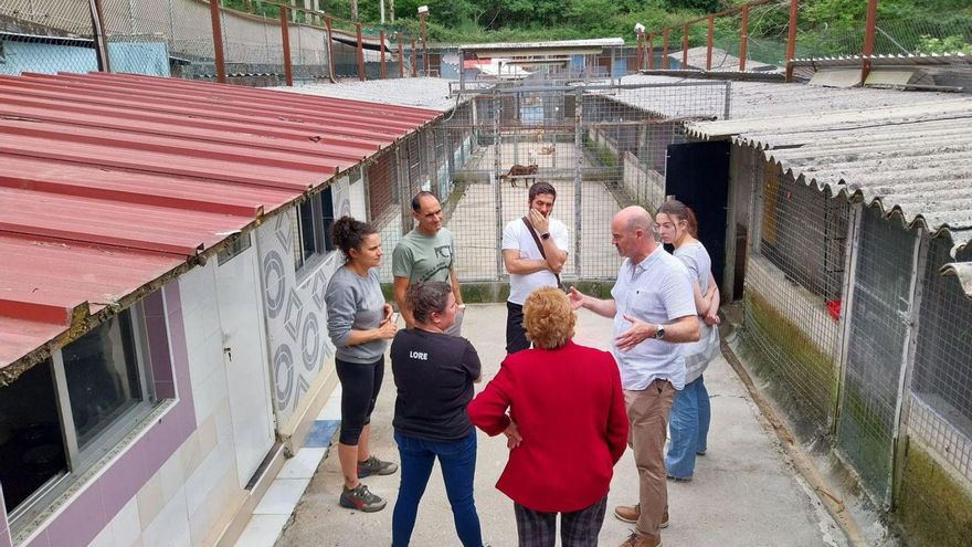 La Protectora recauda fondos para cambiar los tejados del refugio de Moaña