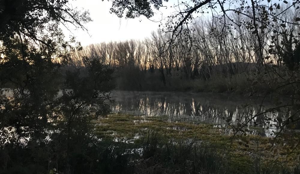 Glaçada a la zona del riu Ter a Colomers