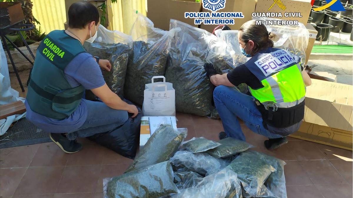 Bolsas del cannabis incautado,  listo para ser vendido por la paquetería del aeropuerto del Altet