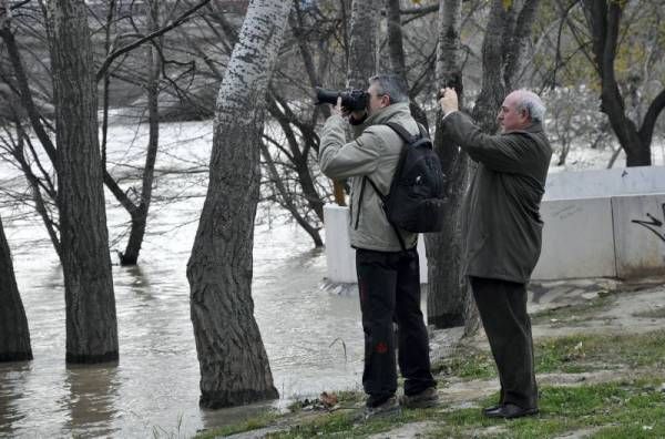 Fotogalería: La crecida del Ebro a su paso por Zaragoza