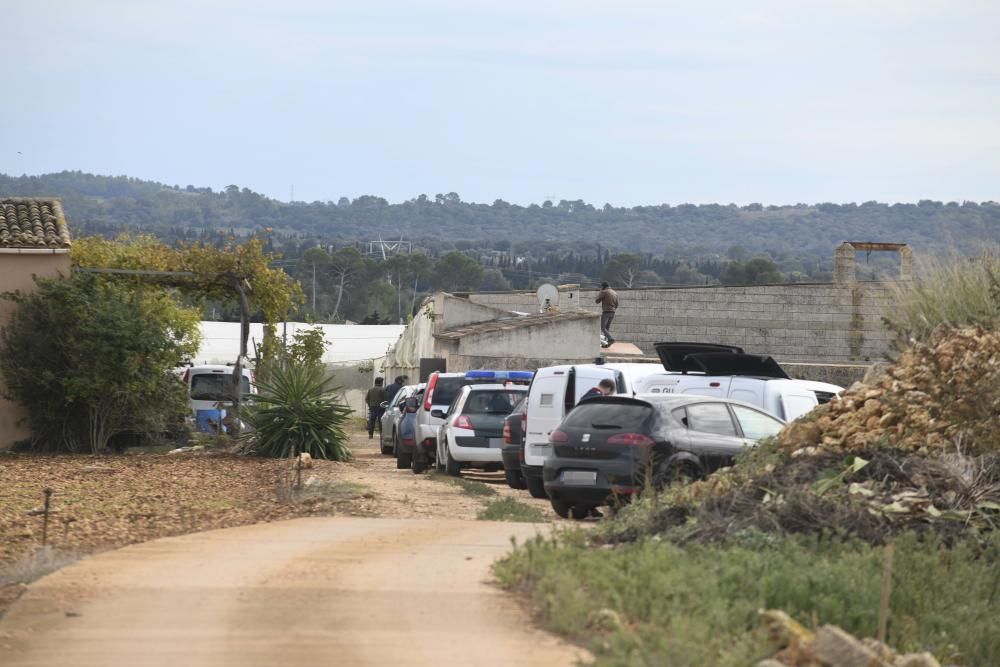 Más de 20 detenidos en una gran operación antidroga en Mallorca y la península