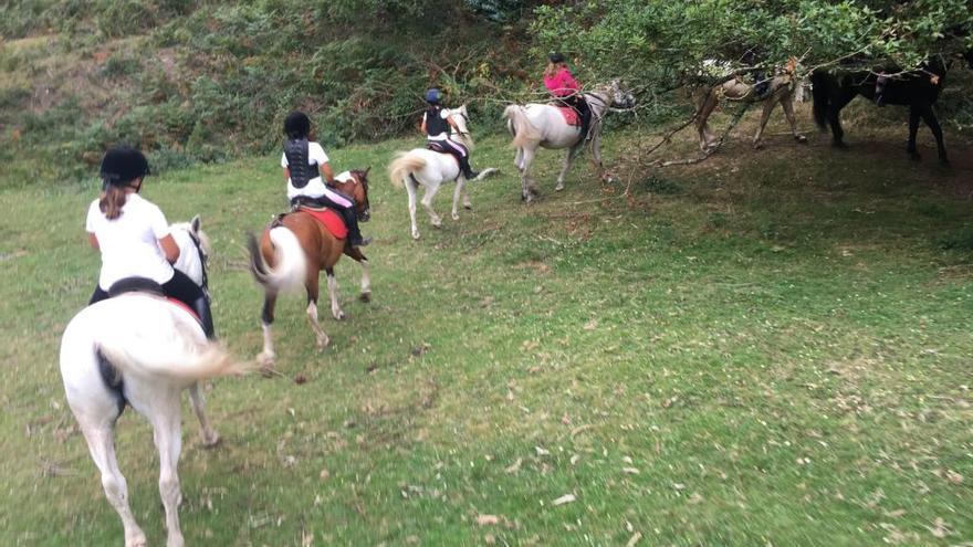 Un grupo de niños realizando una ruta a caballo // Centro Ecuestre Sierra do Galiñeiro